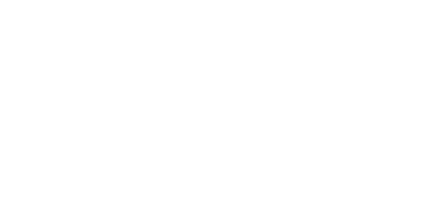 branitfx_logo